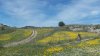 DSCN3936.jpg