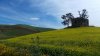 DSCN3912.jpg