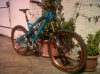 IMG01171-20130413-1332.jpg