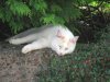 IMG_5935 - Copia.jpg
