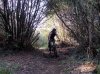 DSCN3955.jpg
