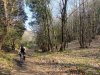 DSCN3950.jpg