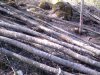 IMG_04182013_160038.jpg