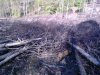 IMG_04182013_160043.jpg