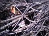 IMG_04182013_160949.jpg