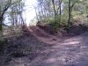 IMG_04182013_165130.jpg