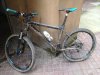 bicina.jpg
