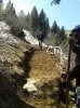 WP_000477.jpg