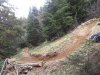 20130514_145320.jpg