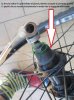 img3101sw.jpg