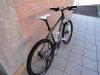 DSC00539.jpg