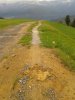 WP_000523.jpg
