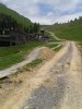WP_000528.jpg