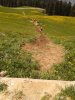 WP_000530.jpg