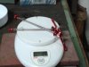 20130530_151521.jpg