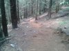 WP_000537.jpg