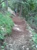 WP_000558.jpg