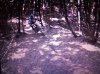 1005605_3322013384825_143909850_n.jpg