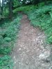 WP_000564.jpg