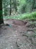 WP_000566.jpg