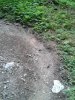 WP_000565.jpg