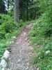WP_000573.jpg