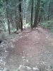 WP_000597.jpg