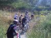 IMG-20130526-00385.jpg