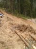 WP_000620.jpg