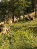 WP_000641.jpg