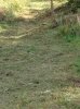WP_000638.jpg