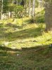 WP_000637.jpg