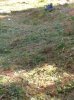 WP_000636.jpg