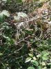 WP_000635.jpg