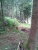 WP_000646.jpg