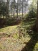 WP_000647.jpg