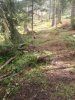 WP_000648.jpg