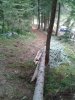 WP_000662.jpg