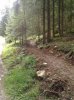 WP_000660.jpg