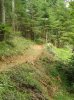 WP_000659.jpg