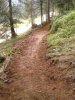 WP_000657.jpg