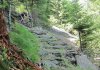 IMG_3307.jpg