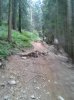 WP_000690.jpg