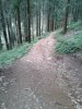 WP_000693.jpg