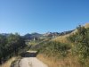 20130822_092117.jpg