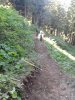 WP_000724.jpg