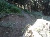 WP_000726.jpg