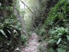 SDC12144.jpg