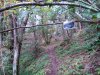 DSC_0167.jpg
