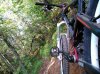 DSC_0168.jpg